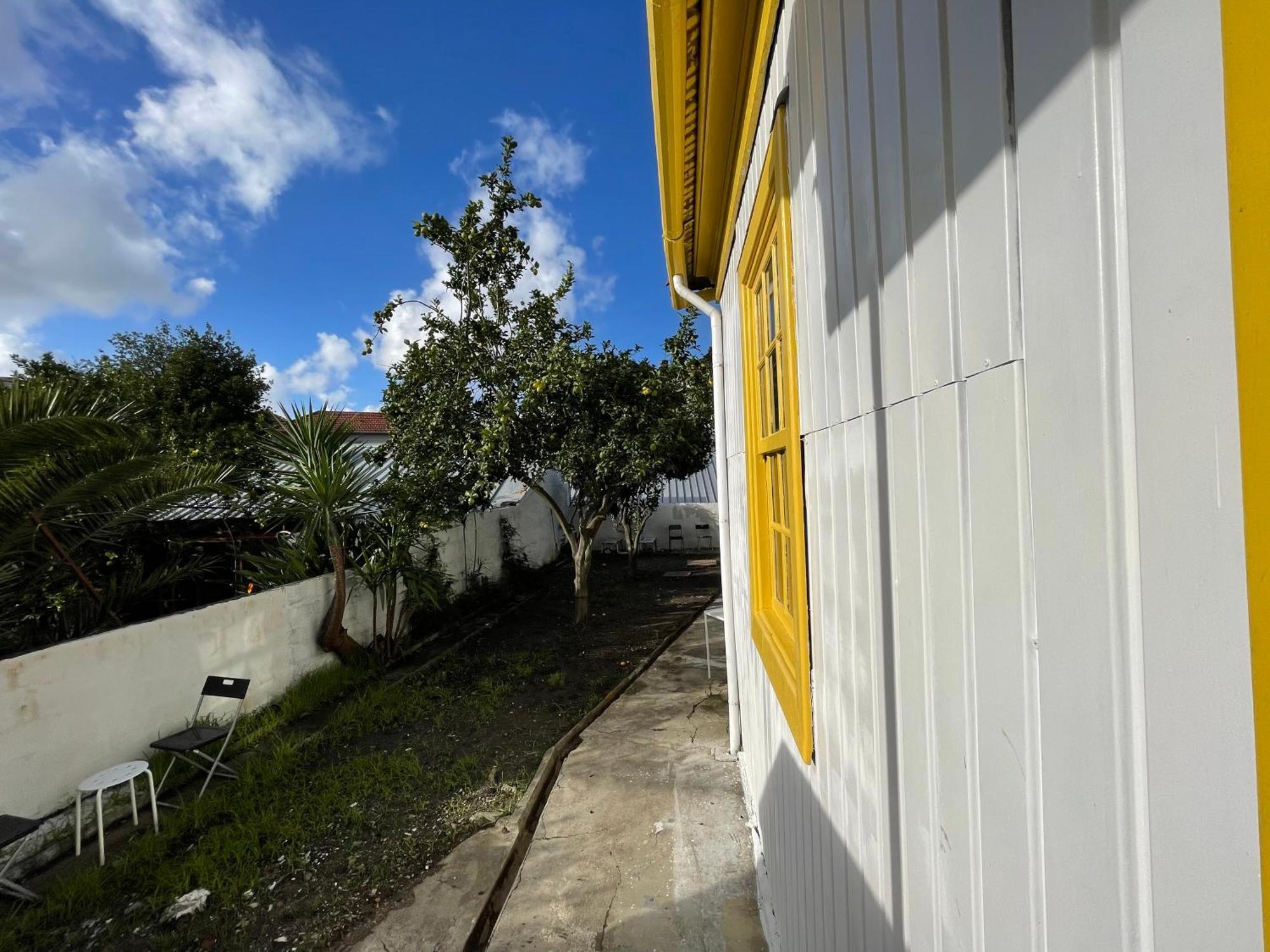 Owls Hostel Ildefonso ปอร์โต ภายนอก รูปภาพ